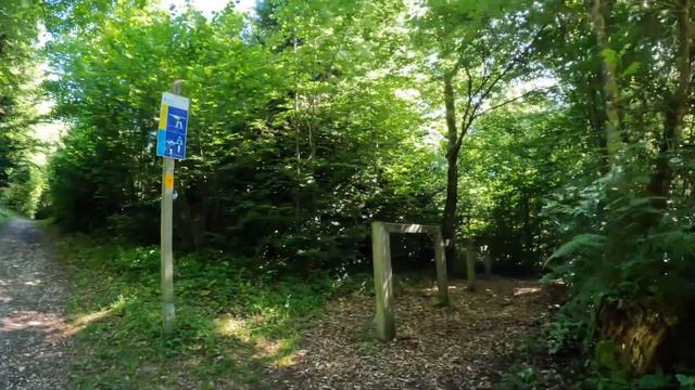 Nature Walk Bern Switzerland 🇨🇭 смотреть онлайн