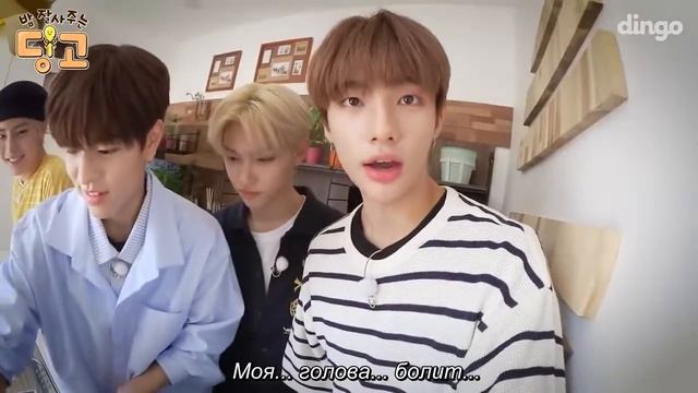 [RUS SUB / РУС САБ ] Dingo mukbang EP. 1 Stray Kids мокбан смотреть онлайн