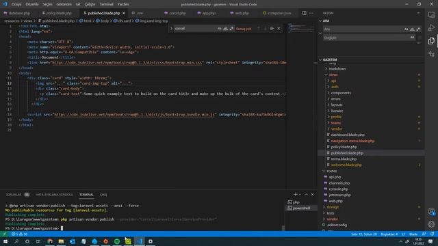 WordPress ve Laravel Birlikte Kullanmak смотреть онлайн