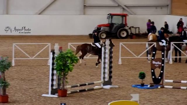 Пони ферма Идальго,С-Пб,продаем талантливую уэльскую пони. http://mini-pony.ru/ смотреть онлайн