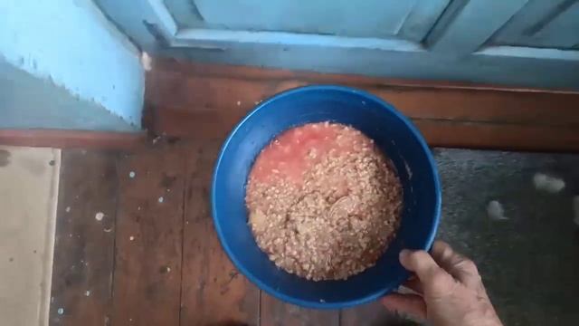 Какая кличка у собаки/ снова потери в хозяйстве/ смотреть онлайн