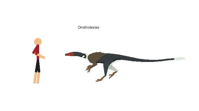 Dinosaur Size Comparison - Stick Nodes (SNDA) смотреть онлайн