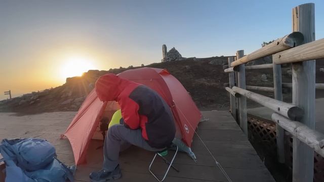 Консервирование фруктов в желе: самые вкусные рецепты