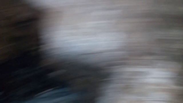 голуби смотреть онлайн