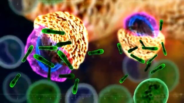 Diaskintest смотреть онлайн