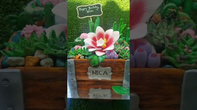 Succulents cake by Your personal Cakemaker смотреть онлайн