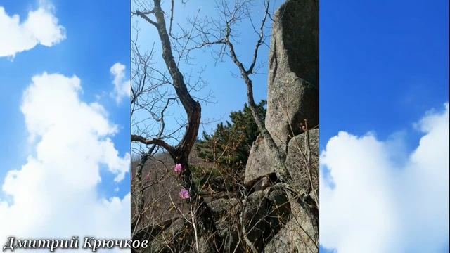 Наш Дальний Восток природа КЛАСС. Живите в Кайф! смотреть онлайн