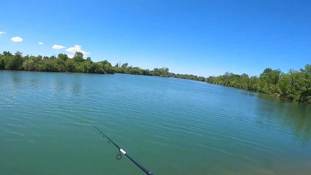 This Bait NEVER Fails (1" Gulp Minnow) смотреть онлайн