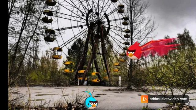 Птицы в Чернобыле (серия 5).