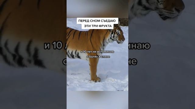 перед сном съедаю это три фрукта. #народнаямедицина #здоровье #здоровьебезтаблеток #долголетие смотреть онлайн