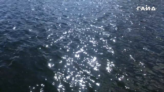 Павел Гайд - Прогулки: East-Side-Gallery. смотреть онлайн