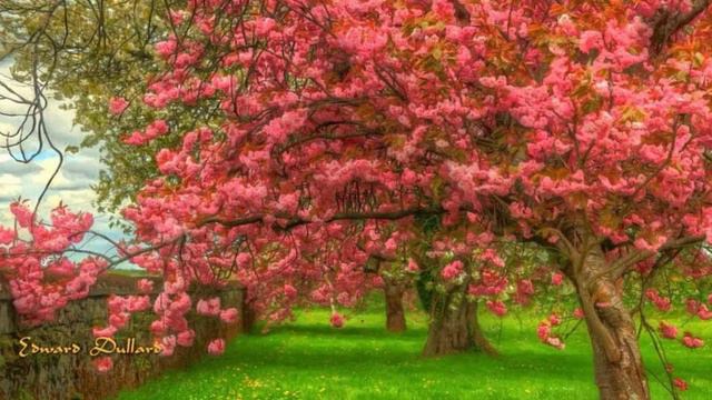 891. ♫. Vladimir Cosma - «Springtime in Dublin» (,«Весна в Дублине») 09-08-2024 смотреть онлайн