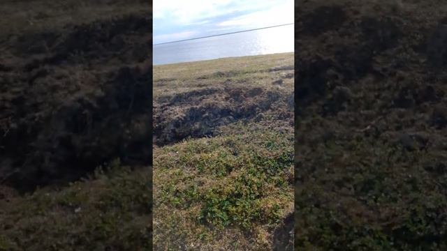 2 июля 2020 г. смотреть онлайн