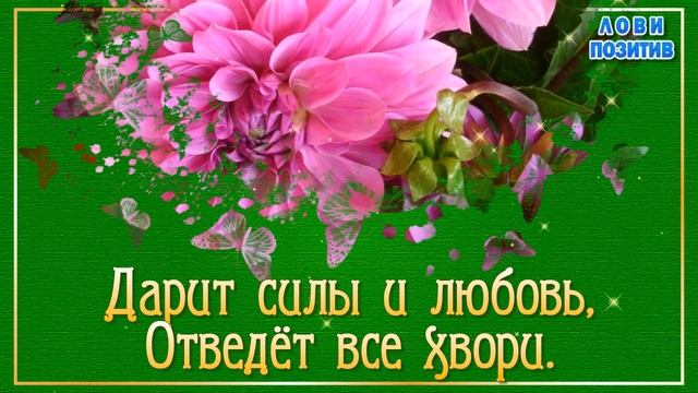 Именины Варвары. Поздравления с Днём Ангела Варвары. С Днем Святой Варвары смотреть онлайн