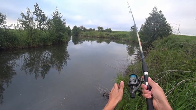 В этом болоте водится ЩУКА !!! смотреть онлайн