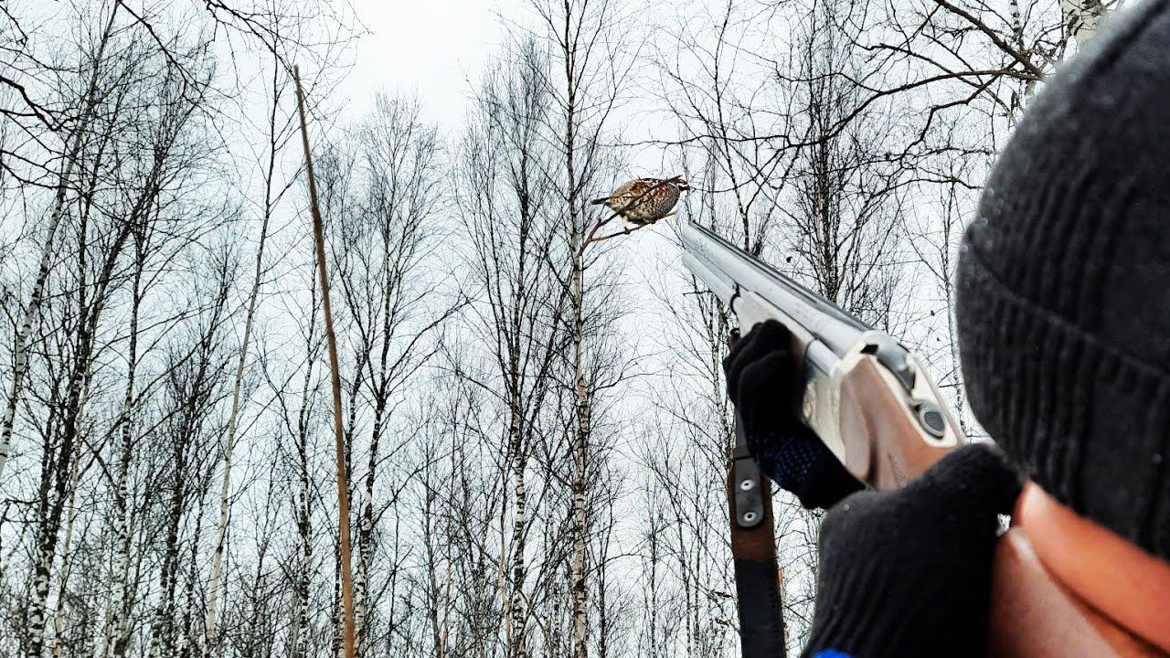 ОХОТА НА РЯБЧИКА ПОЗДНЕЙ ОСЕНЬЮ С МАНКОМ. смотреть онлайн