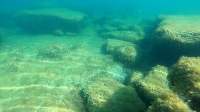 Подводный мир Актауского побережья Каспийского моря смотреть онлайн