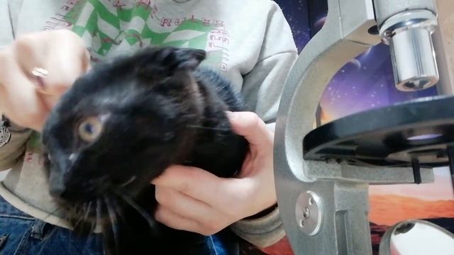 Путешествия в Животный Мир