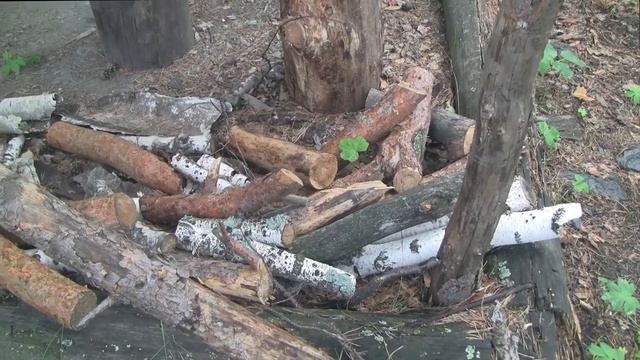 Заброшенные лесные жилища рыбаков и охотников. смотреть онлайн