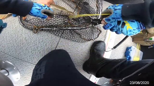 Рыбалка во время турнира Омский Хищник 2020 г. смотреть онлайн