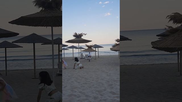 Наш ужин у моря🌊#море #черноеморе #рыба #креветки #blacksea #sea #bulgaria #болгария #fish #garnele смотреть онлайн