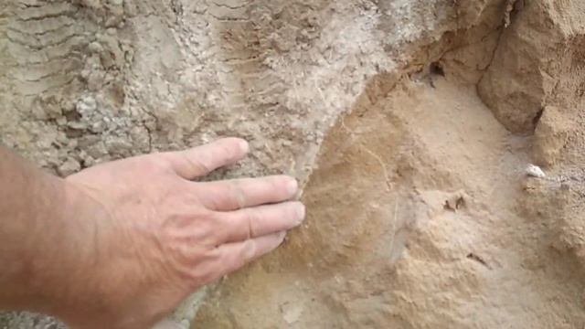 Серая глина с известью залегает выше песка смотреть онлайн