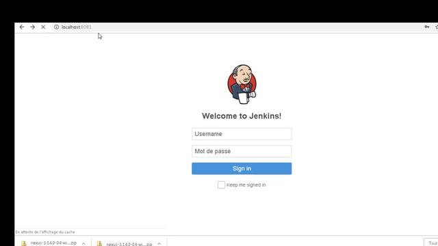 Installation Nexus-3.14.0-04 смотреть онлайн