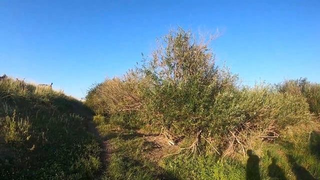 Рудный. Поездка на реку Тобол на мотоциклах. смотреть онлайн