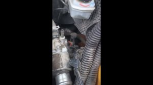 Замена термостата на Ларгусе с мотором ВАЗ 11189 своими руками.