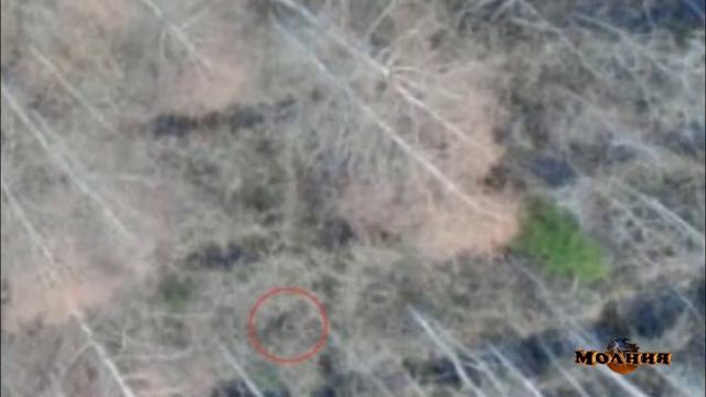 Люди возмущены обнародованной информацией по делу Влада Бахова. Почему увидели только сейчас?...