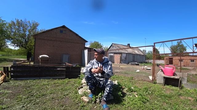 СДЕЛАЛ ЗАБОР ЦЫПЛЯТАМ/МАЛЕНЬКИЕ ПЕРВЫЙ РАЗ НА УЛИЦЕ/ПРОПОЛОЛ МЕЛОЧИ В ОГОРОДЕ/ смотреть онлайн