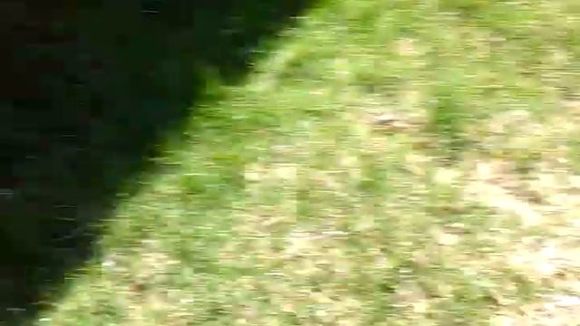 Climbing construction site !!!! Security???? смотреть онлайн