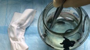 Хранение медицинских пиявок