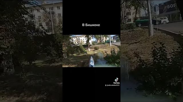 Арыки с холодной освежающей водой текут в Бишкеке с советского времени ®️ смотреть онлайн