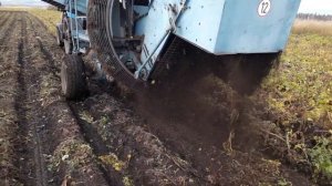 копаем картофель в грязь! как модернизировать комбайн Анна   Z-644