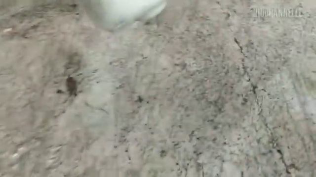 Menganti Air Radiator/air Coolant -//BALENO OLD