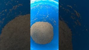 Хранение пивной дробины более 74 часов