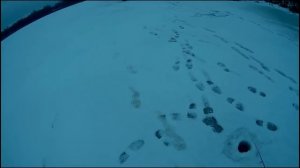 Ловля щуки на ратлин , VIB . Ратлины на зимней рыбалке с эхолотом 2019