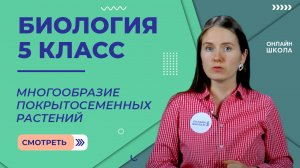 Покрытосеменные растения. Многообразие покрытосеменных. Видеоурок 32. Биология 5 класс