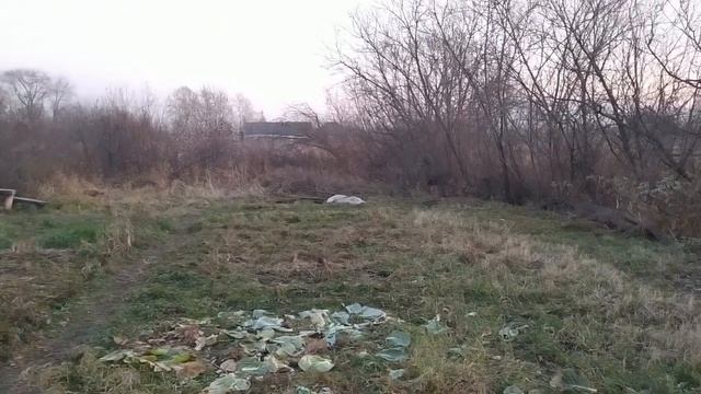 Моя жизнь в тридевятом царстве в старом доме на болоте смотреть онлайн