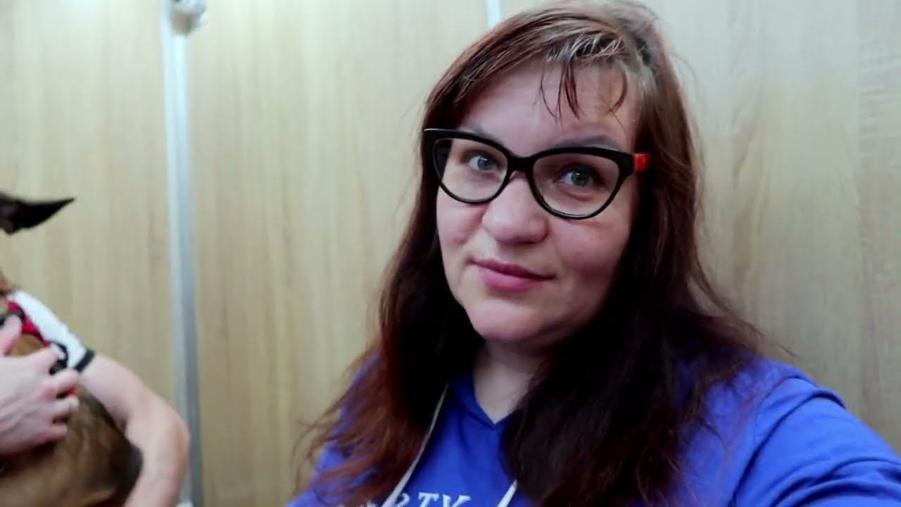 Едем забирать детей из лагеря Влог смотреть онлайн