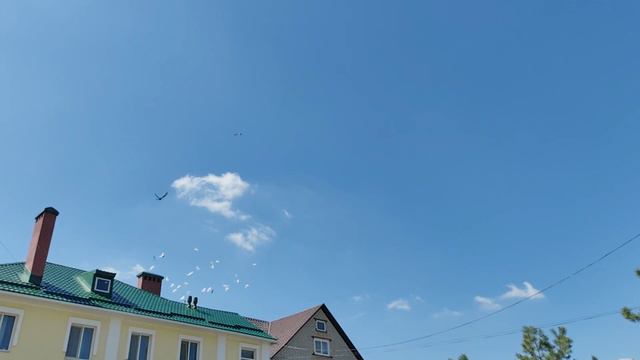 В Праздник Благовещения Пресвятой Богородицы. 7 апреля 2024г. смотреть онлайн