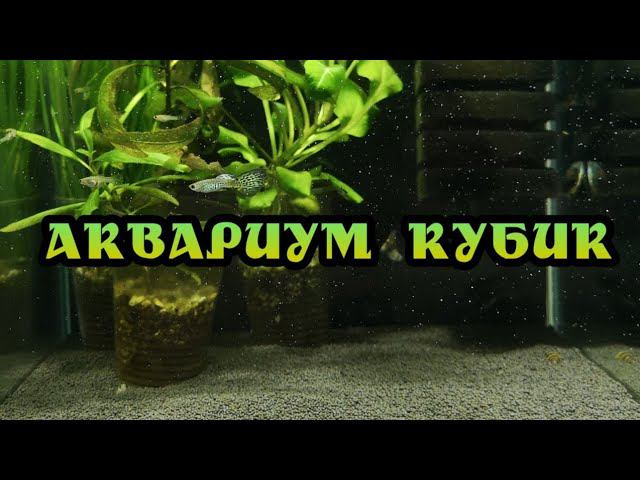 НОВЫЙ ВИД КУБИКА смотреть онлайн