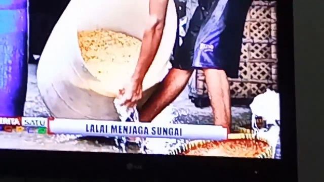 This is DODO LAND смотреть онлайн