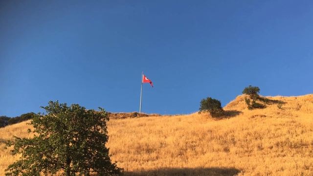 Опасная диета на соках = маркетинг и обман потребителя.. Лучшие и худшие диеты 2022 года. смотреть онлайн