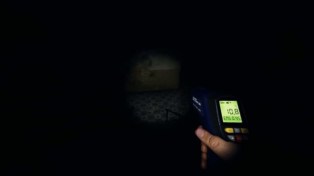 ? ВЕЧЕРНИЙ СТРИМ ПО PHASMOPHOBIA - ПРАЗДНУЕМ ДР ДАШИ РЕЙН смотреть онлайн