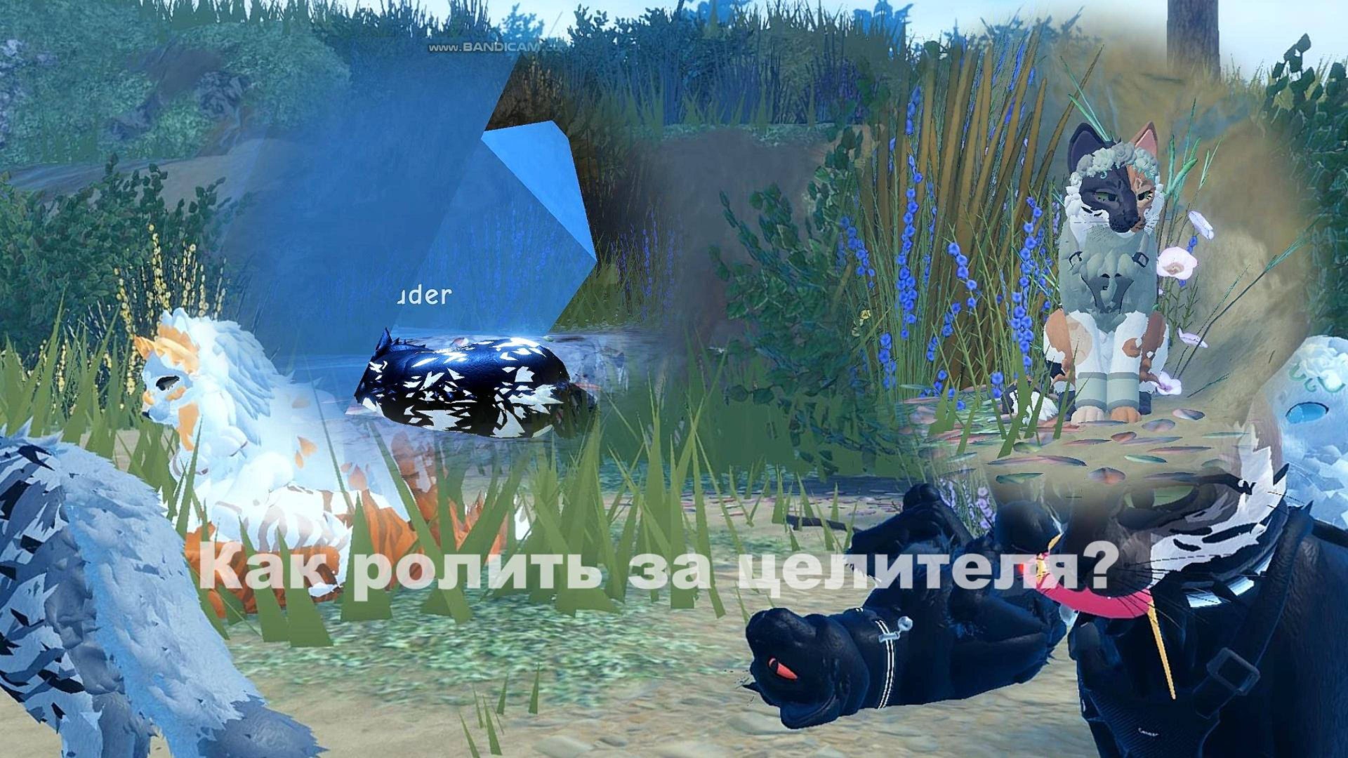 +wcue_Как ролить за целителя_+