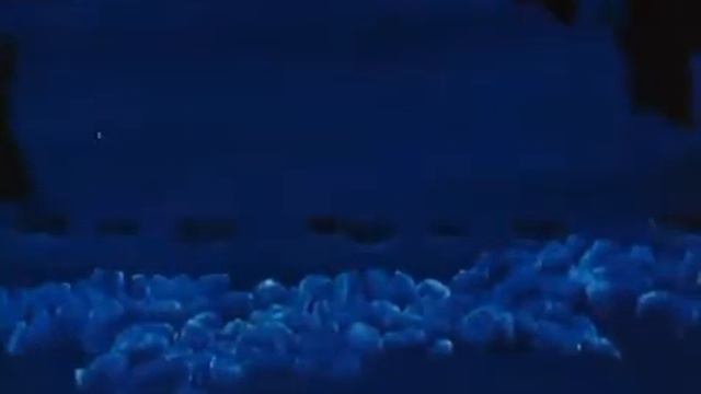 Копия видео Как ёжик и медвежонок встречали Новый Год смотреть онлайн