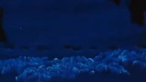 Копия видео Как ёжик и медвежонок встречали Новый Год